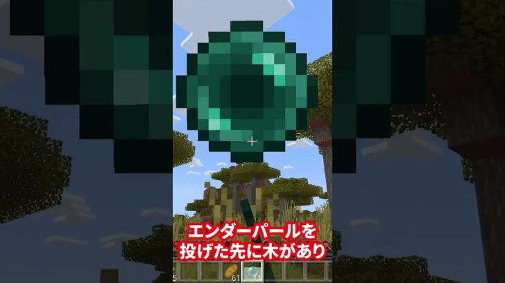 マイクラあるある　part42