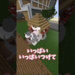 【ダメ、絶対】マイクラサーバーの荒らし方の違い #shorts #マイクラサーバー #マイクラ実況