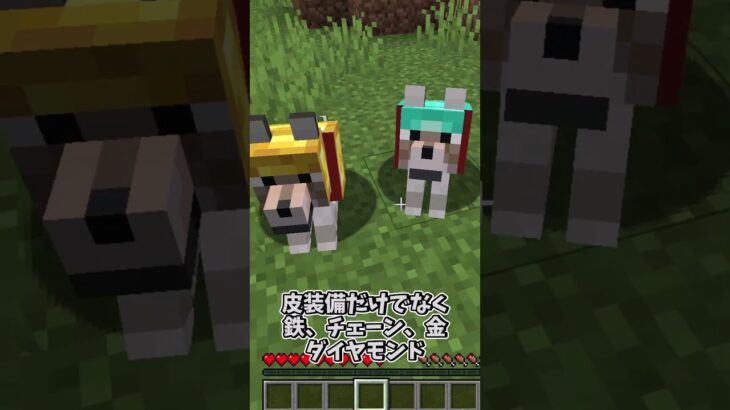 #shorts オオカミに装備を付けれるPet Armor MOD #MOD #マインクラフト #マイクラMOD #ゆっくり実況