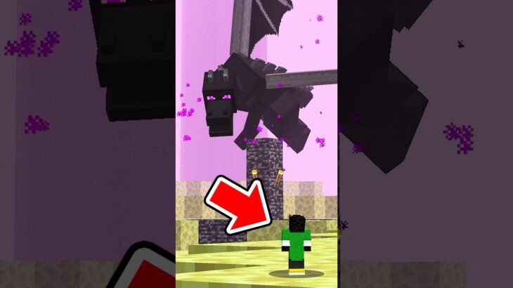 こびとでエンドラたおせる？【マイクラ】#shorts ＃マイクラ  #minecraft   #マインクラフト
