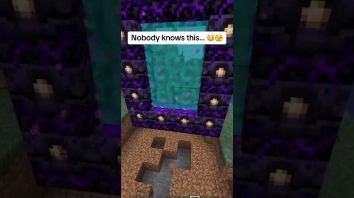 the Portal At The END 😳💀 #shots #minecraft