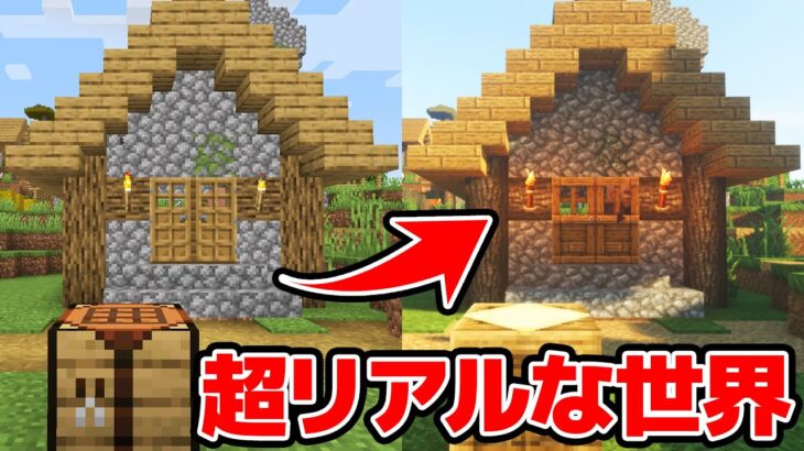 【マイクラ】リアルになりすぎた世界でエンドラ討伐！！！