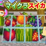 マイクラでスイカゲームあそんでみた！【ぐち男＆ぐちやまのマインクラフト】