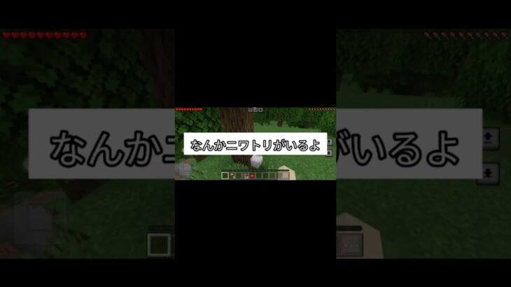 【マイクラ】プレイ動画　#まいくら 　#マイクラ  #まいんくらふと 　#マインクラフト建築