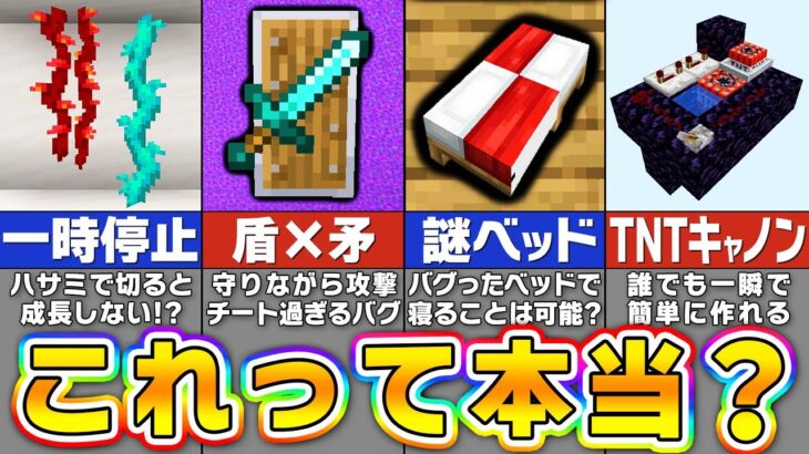 【マイクラ】嘘？本当？怪しい裏技を検証したら凄すぎたｗｗｗ【まいくら・マインクラフト】