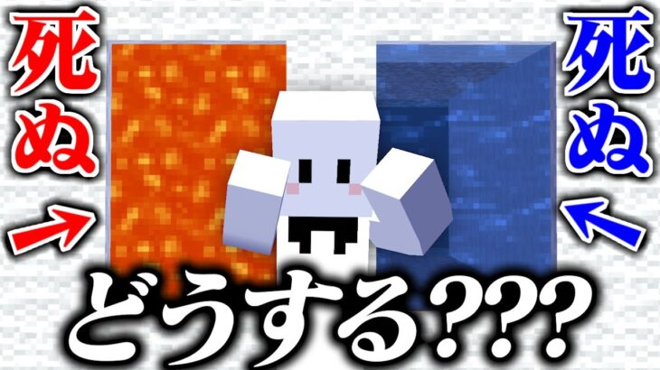 正解が『意外』な世界からの脱出【マインクラフト / 脱出マップ】