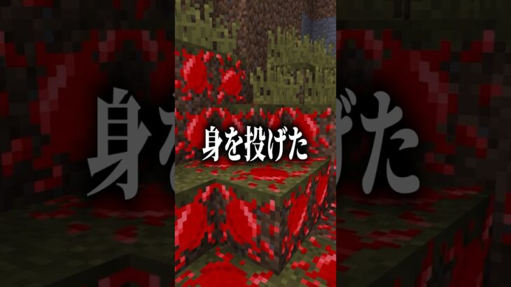 【意味がわかると怖い話】展望台【マイクラ】 #マイクラ #どるれく