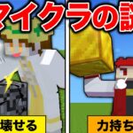 マイクラのよく考えたら謎なことあるある【マイクラ/マインクラフト】