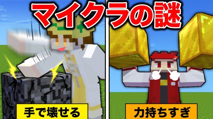 マイクラのよく考えたら謎なことあるある【マイクラ/マインクラフト】