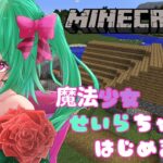 マインクラフト 魔法少女せいらちゃんはじめました‼