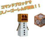 マインクラフト　番外編　コマンドブロックで最強スノーゴーレムが誕生！！