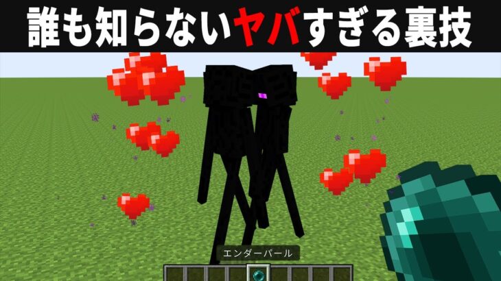 【海外検証】謎が多すぎるマインクラフト10選【ゆっくり実況】【マイクラ】