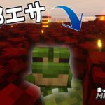 【作業】エンチャントや片付け、フロッグライト回収装置も作る【マインクラフト】サバイバル #15.5