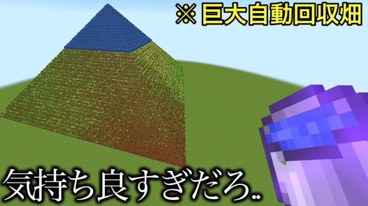 【マイクラ】 究極に気持ち良すぎる小ネタ3選..　～誰も試さないような小ネタを本気でやってきた～　【マインクラフト】【まいくら】【コマンド】【検証】