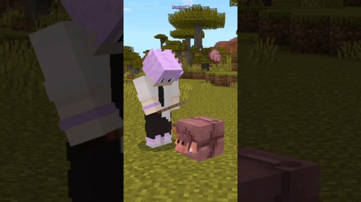 Ketika Minecraft Tapi Di Gangguin Armadillo