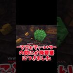 【マイクラ MOD】クリックまな板を使ってエンドら討伐しようとしたら衝撃の結果に…　#shorts