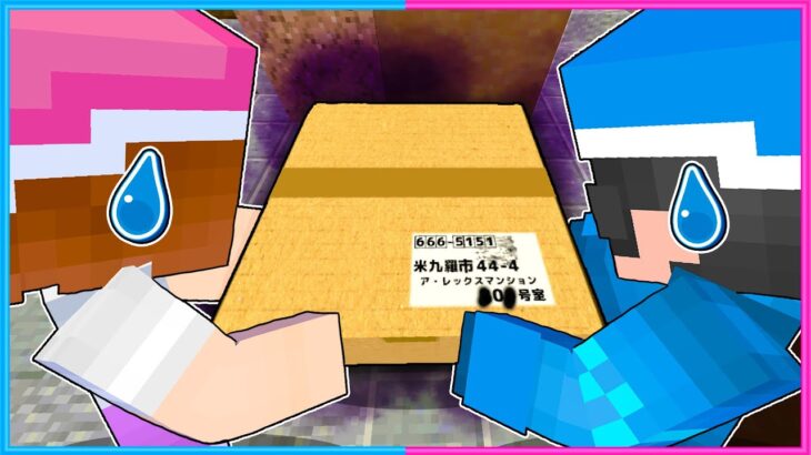 あやしい荷物を配達するマインクラフト😨📦【 マイクラ / Minecraft  】