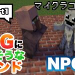 【マイクラコマンド】RPGで使えそうなコマンド作ってみた NPC編 【マインクラフト　統合版　コマンド】