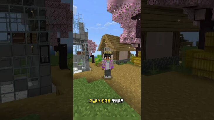 Uncovering Which Type of Minecraft Player You Are