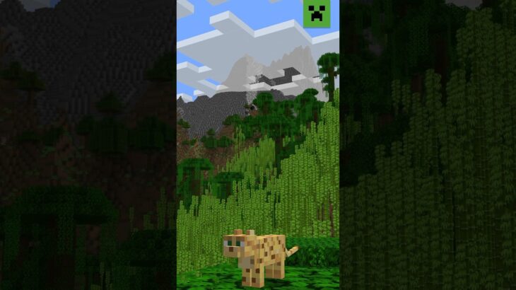 WHAT’S YOUR FAVOURITE MINECRAFT SEED?