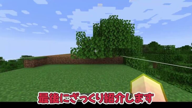 マインクラフト java版 modなし 地上隠し扉 データ配布＆やり方