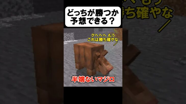 どっちが勝つか当てられる？【茶番】#shorts 【マイクラ】【マインクラフト】【まいくら】