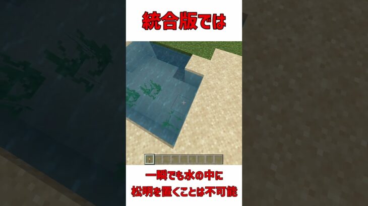 【マインクラフト】正解はどっち？　あなたは解ける？！ #マイクラ #shorts