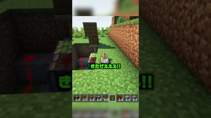 これは神!!!!【マイクラ】