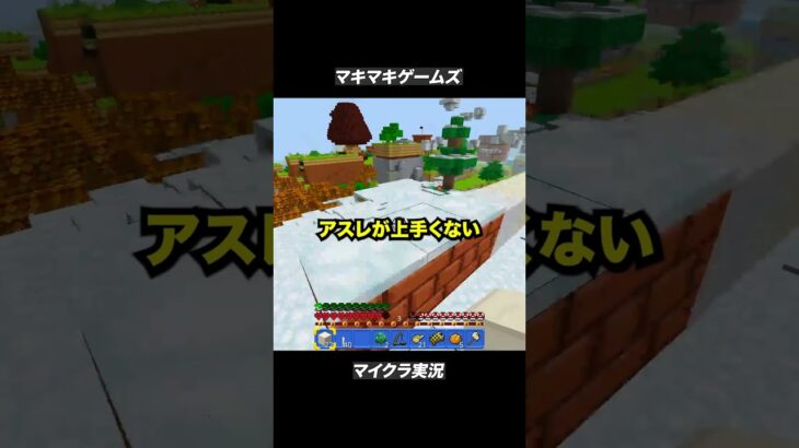 自信がなくなりました…【マイクラ】