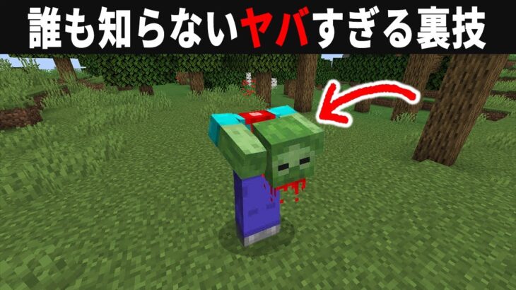 【海外検証】謎が多すぎるマインクラフト10選【ゆっくり実況】【マイクラ】