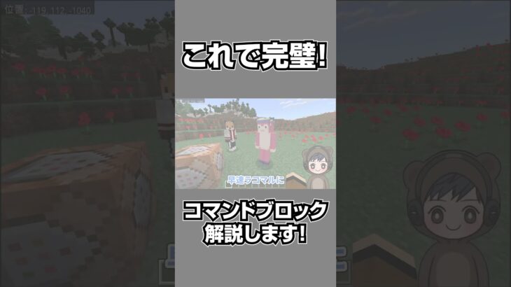 【マイクラ】初心者もこれを見れば1発でわかる！コマンド基本解説【統合版/JAVA/Switch】#shorts