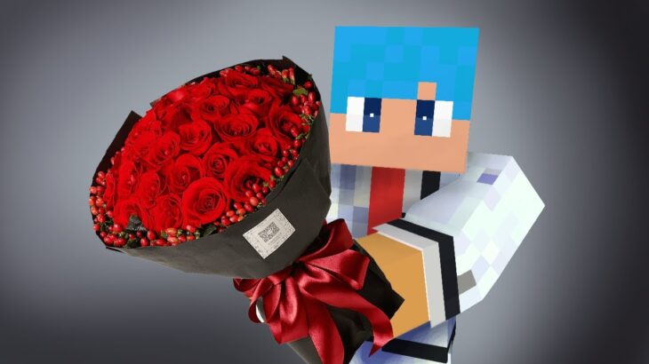 あかさかの箱、結婚しました。【結婚報告20連発】【まいくら / マインクラフト】【パロディ】