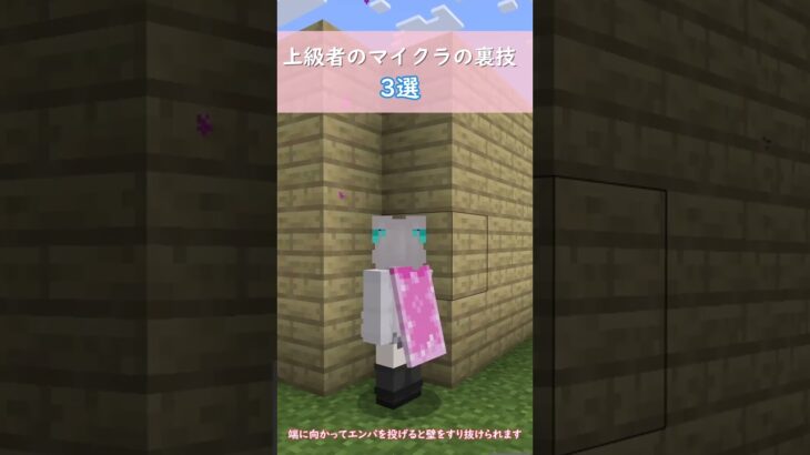 上級者だけが知るマイクラの裏技3選!!!