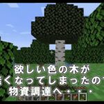 【初めての建築】31歳のおばちゃんがマインクラフトをやってみた＃8