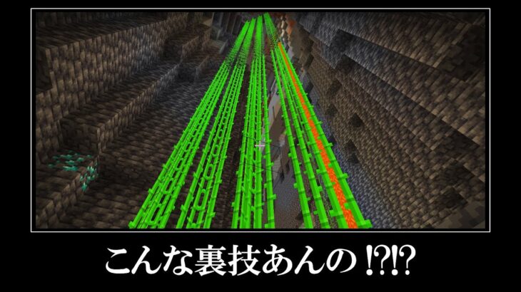 マイクラの衝撃すぎるありえない奇跡の裏技バグ6選！！！！