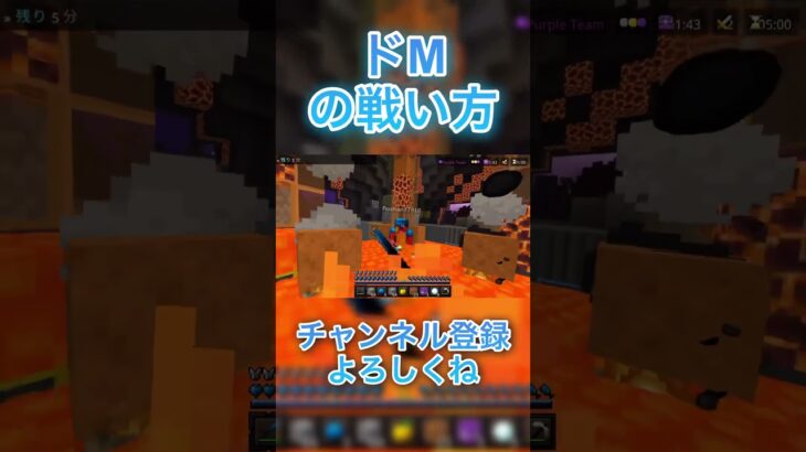 【マイクラ】ドMの戦い