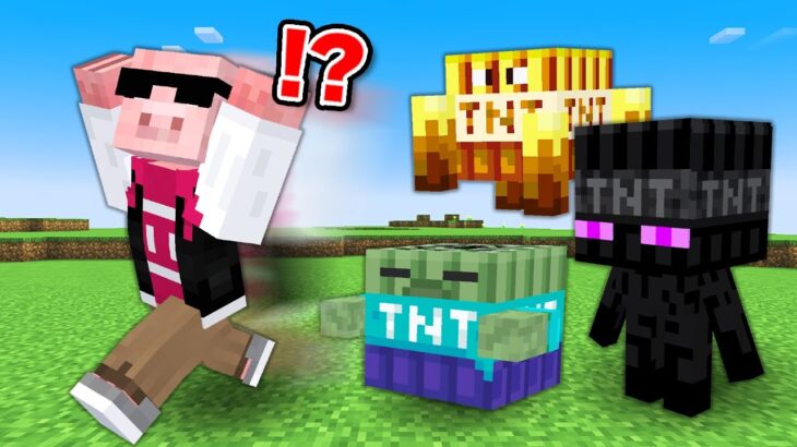 【マイクラ】MOBがTNTになった世界でエンドラ討伐！