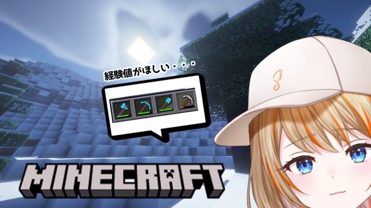 【Minecraft】経験値の安定供給求む！思う存分道具を使いたい。【橙里セイ / ななしいんく】