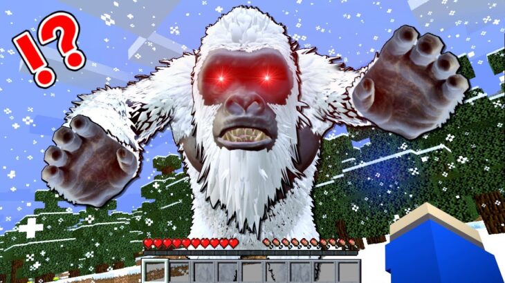 【恐怖の雪男😱】雪山で恐ろしいイエティと遭遇した結果…⁉️【マイクラ Minecraft】ぽっぴんず