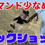 【統合版Minecraft】コマンド少なめフックショット！