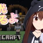 【Minecraft】久々の観光をしてみよう！！【ホロライブ/ときのそら】