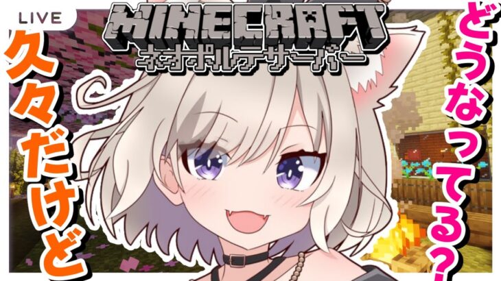 【マイクラ】ネオポルテ鯖って今どうなってるん？？【夜絆ニウ / NeoPorte (ネオポルテ) 】