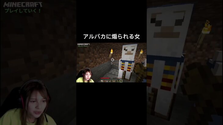 商人を助けたかったんだ… #minecraft  #マイクラ