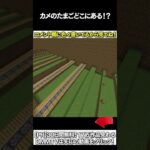 【マイクラ】カメのたまごどこにあある！？ #マイクラ #マインクラフト #逃走中  #shorts