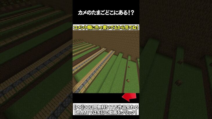 【マイクラ】カメのたまごどこにあある！？ #マイクラ #マインクラフト #逃走中  #shorts