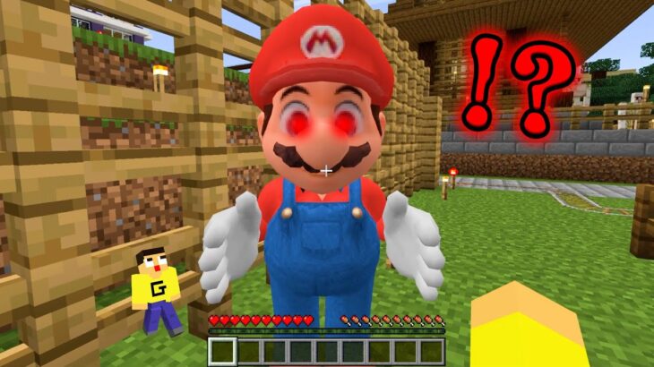 マイクラに最強のマリオが現れた。【マインクラフト】