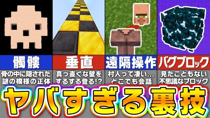 【検証】誰も知らないマイクラの謎すぎる秘密・バグ裏技９選【まいくら・マインクラフト】