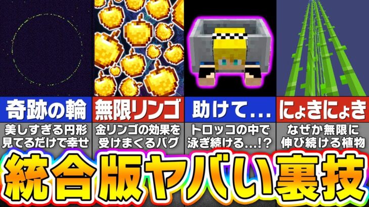 【マイクラ】統合版限定！絶対にやってはいけない衝撃のバグ技・裏技８選【スイッチ対応】【まいくら・マインクラフト】