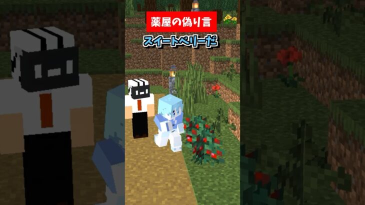 薬屋の偽りごと【そらねこ】【マイクラアニメ】【マインクラフト】【薬屋のひとりごと】