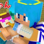 赤ちゃんになっちゃったおかんをお世話する！【まいくら / マインクラフト】